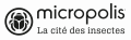 Micropolis, la cit des insectes